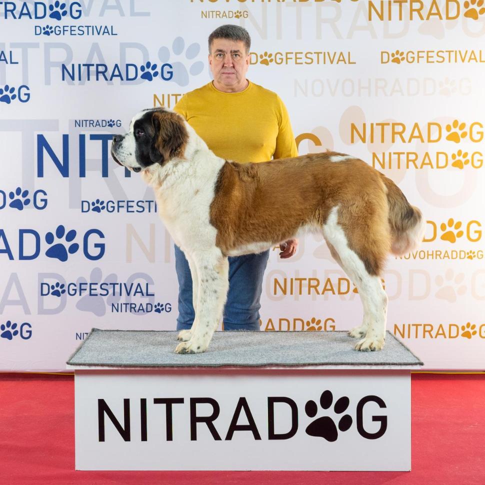 Nitra 19-22.12.2024